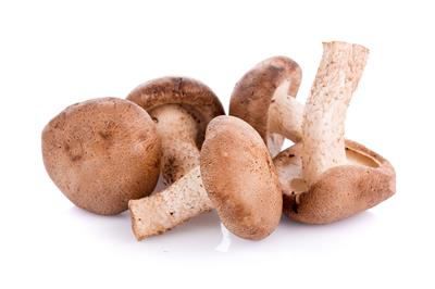 HONGOS SHIITAKE 1KG